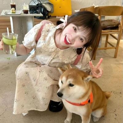 最后的真相